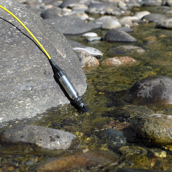 Intellical LDO101 Field Luminescent-Optical Dissolved Oxygen DO Sensor 5m Cable 4